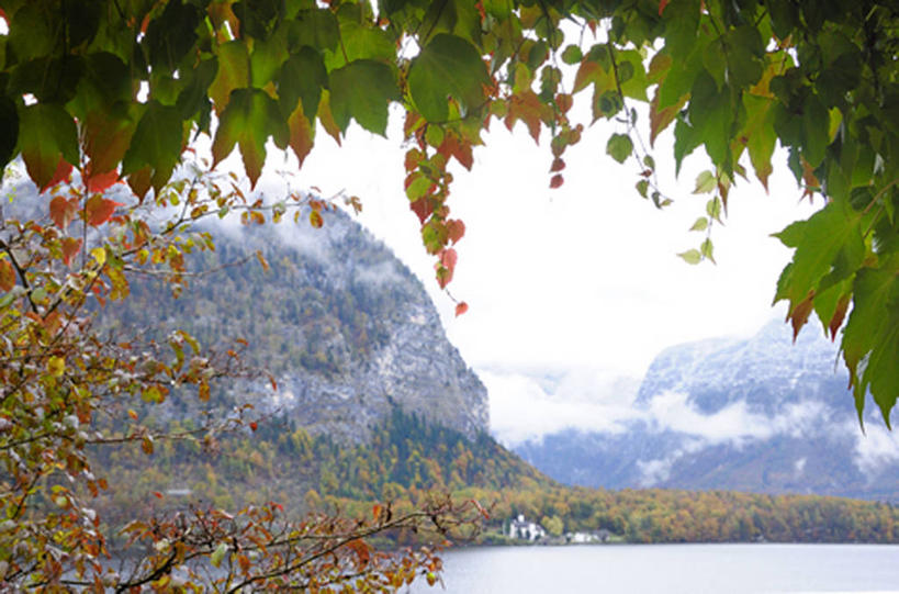 无人,横图,室外,白天,正面,旅游,度假,湖,湖泊,美景,山,山脉,树林,水,植物,叶子,奥地利,欧洲,阴影,光线,影子,湖面,景观,山峰,水流,水面,云,云朵,绿叶,枝条,山峦,云彩,娱乐,树,树木,树枝,蓝色,绿色,白云,蓝天,天空,阳光,自然,湖水,群山,天,享受,休闲,嫩叶,景色,放松,生长,晴朗,成长,自然风光,中欧,奥地利共和国,虬枝,枝杈,上奥地利,上奥地利州,哈尔施塔特,哈尔斯塔特,叶,叶片,晴空,彩图