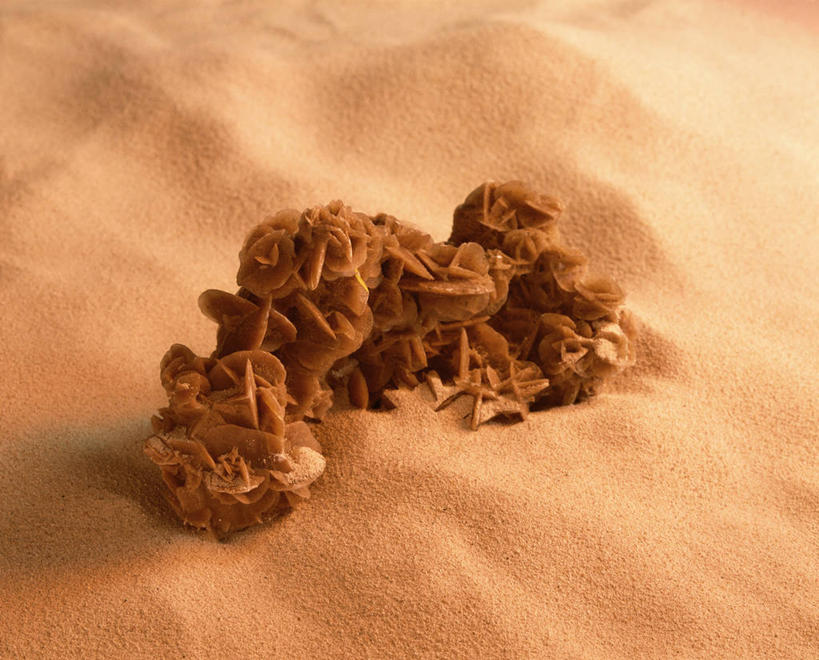 无人,横图,俯视,室内,特写,白天,化妆,美容,护肤,橙色背景,阴影,盛开,反射,影子,花蕾,花,花瓣,花朵,鲜花,花苞,花蕊,保养,享受,休闲,放松,保健,摄影,影棚,养颜,彩图,高角度拍摄,影棚拍摄,拍摄,SPA美容