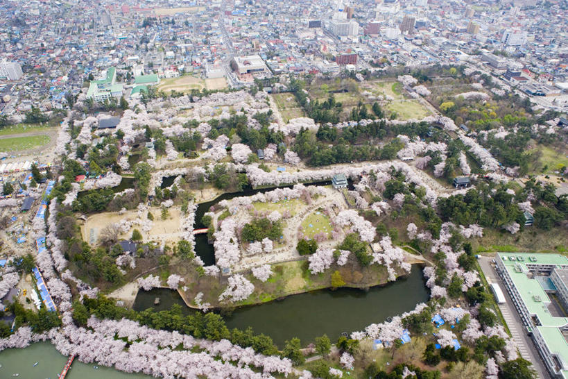 无人,公园,家,横图,俯视,航拍,室外,白天,旅游,度假,草地,草坪,名胜古迹,植物,标志建筑,地标,建筑,日本,亚洲,遗迹,堡垒,城堡,房屋,屋子,古迹,文物,娱乐,建设,古建筑,楼房,住宅,草,树,树木,绿色,自然,享受,休闲,旅游胜地,放松,生长,成长,要塞,鸟瞰,古文明,东亚,本州,本州岛,日本国,青森,青森县,东北地方,弘前,弘前市,弘前城,鹰冈城,设防,彩图,高角度拍摄,房子,青森弘前公园