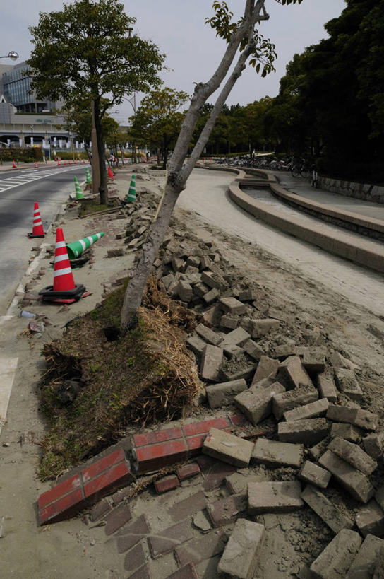 无人,竖图,室外,白天,正面,植物,日本,亚洲,分离,千叶县,警告,树,树木,绿色,自然,警示,生长,成长,隔离,禁止,提醒,提示,限制,自然现象,交通标志,东亚,路锥,地震,本州,关东地方,本州岛,日本国,交通锥,千叶,地动,振动,地振动,地震波,危险,彩图