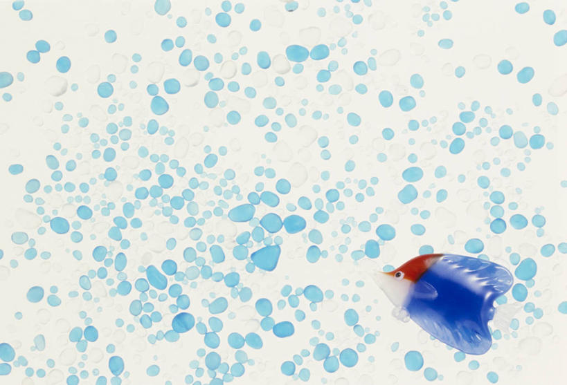 无人,横图,室内,白天,白色背景,正面,工艺美术品,玻璃,艺术,鱼,艺术品,鱼类,玻璃制品,工艺品,摄影,影棚,工艺,美术,彩图,影棚拍摄,拍摄