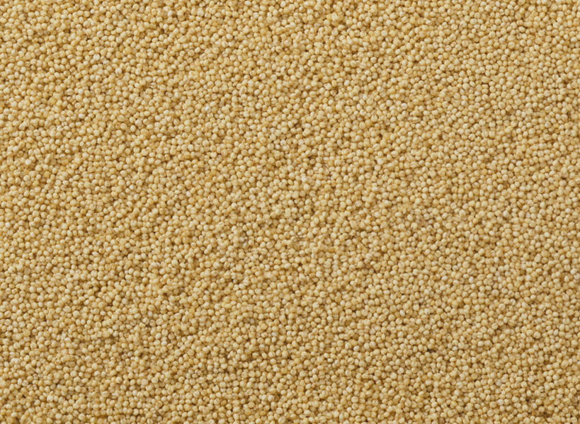 点心,无人,横图,室内,特写,白天,正面,阴影,丰富,反射,纹路,纹理,影子,食品,甜点,甜品,褐色,食物,糕点,甜食,成熟,草饼,肌理,谦让,随和,麻糬,彩图,全画面,全框架,全帧,全画幅