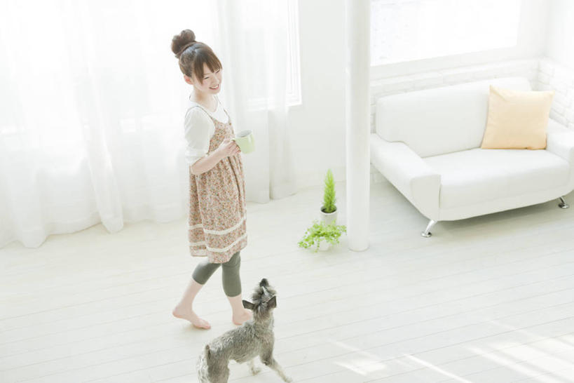 东方人,一个人,走,横图,俯视,室内,白天,植物,窗户,窗帘,靠垫,落地窗,沙发,宠物,狗,亚洲,仅一个年轻女性,仅一个女性,仅一个人,阴影,服装,装饰,反射,盆栽,影子,靠枕,盆景,梗犬,雪纳瑞,迷你雪纳瑞,注视,休闲装,黄种人,玻璃窗,一只,衣服,绿色,自然,帘子,动物,垫子,枕头,观察,看,休闲,休闲服,遮阳,可爱,服饰,生长,成长,观看,华丽,修饰,点缀,察看,关注,雪纳瑞犬,布艺沙发,髯犬,忠诚,衬托,美观,雅致,雅观,雪纳瑞狗,年轻女性,女人,女性,亚洲人,犬,步行,走路,彩图,高角度拍摄,全身