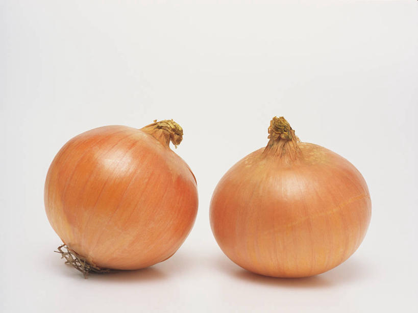 无人,横图,室内,特写,白天,白色背景,正面,蔬菜,洋葱,阴影,新鲜,反射,影子,食品,食物,两个,摄影,有机食品,绿色食品,影棚,玉葱,荷兰葱,圆葱,洋葱头,球葱,葱头,彩图,影棚拍摄,拍摄,黄洋葱