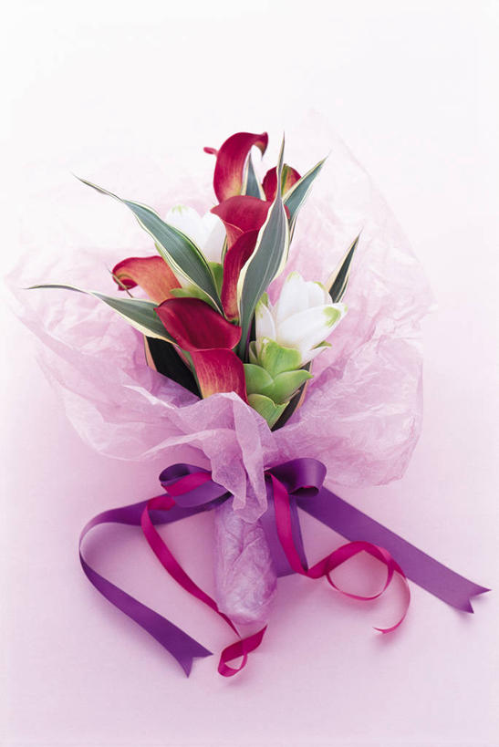 无人,竖图,俯视,室内,特写,白天,白色背景,百合花,阴影,盛开,反射,包装,包装纸,丝绸,丝带,影子,纸,缎带,纸张,花蕾,绸带,花,花瓣,花朵,鲜花,花苞,花蕊,摄影,影棚,包装材料,强瞿,百合蒜,倒仙,番韭,山丹,彩图,高角度拍摄,影棚拍摄,拍摄,玻璃纸