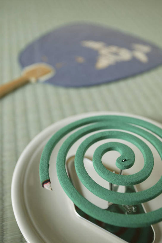 无人,竖图,俯视,室内,特写,白天,静物,餐具,阴影,朦胧,模糊,反射,碟子,盘,扇子,蚊香,影子,塌塌米,榻榻米,清凉,凉爽,文化,盘子,碟,盘香,叠席,螺旋状,彩图,高角度拍摄,螺旋形,螺旋形状,螺旋型,和风扇,和风扇子,凉扇,驱蚊物,传统文化