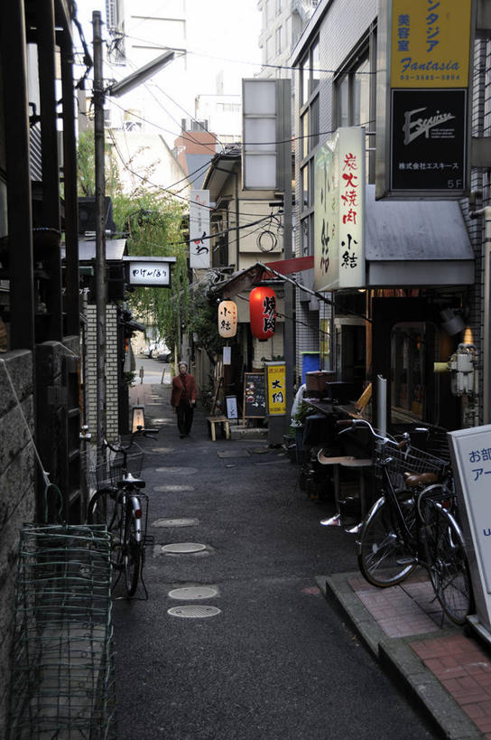 无人,家,竖图,室外,白天,正面,度假,美景,植物,城市风光,城市,照明,东京,日本,亚洲,阴影,光线,灯笼,影子,纸灯笼,房屋,屋子,景观,公寓,小巷,娱乐,洋房,楼房,弄堂,住宅,树,树木,巷子,蓝色,绿色,蓝天,天空,阳光,自然,灯具,天,享受,休闲,景色,放松,生长,晴朗,成长,照亮,照明设备,东亚,本州,万里无云,关东地方,本州岛,日本国,东京都,赤坂,晴空,晴空万里,彩图,房子