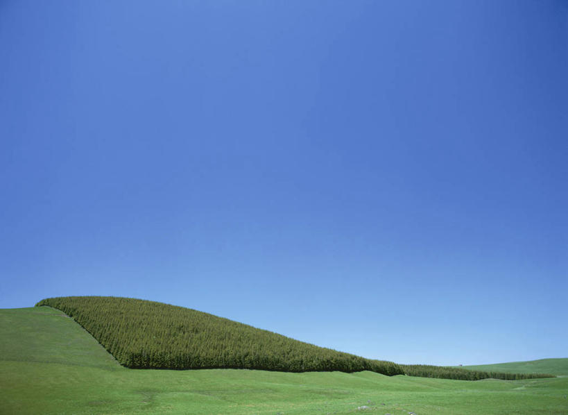 无人,横图,室外,白天,正面,旅游,度假,草地,草坪,美景,森林,树林,植物,法国,欧洲,阴影,光线,影子,景观,娱乐,草,树,树木,蓝色,绿色,蓝天,天空,阳光,自然,天,享受,休闲,景色,放松,生长,晴朗,成长,西欧,法兰西,自然风光,万里无云,法兰西共和国,法兰西第五共和国,奥弗涅,奥弗涅大区,晴空,晴空万里,彩图