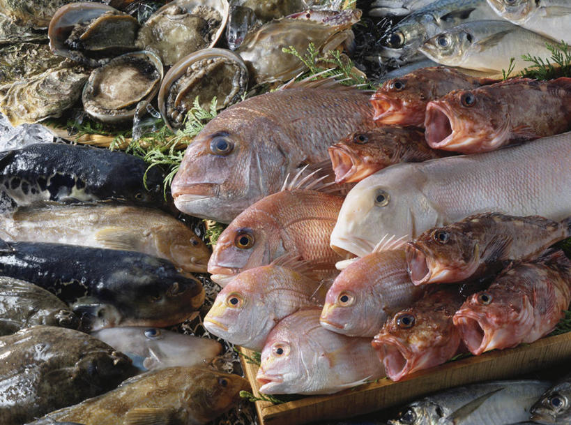 海鲜,无人,横图,俯视,室内,白天,叶子,许多,鱼,绿叶,案板,很多,扇贝,水产,鱼类,海洋生物,砧板,嫩叶,海扇,水生动物,海产品,水生物,海底动物,叶,叶片,半身,彩图,高角度拍摄