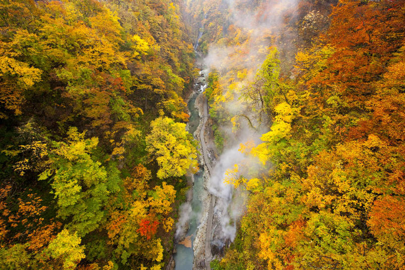 无人,横图,俯视,室外,白天,旅游,度假,河流,美景,秋季,森林,树林,水,植物,雾,叶子,秋田县,日本,亚洲,朦胧,模糊,河水,景观,水流,枯叶,落叶,娱乐,树,树木,绿色,自然,享受,休闲,景色,放松,生长,成长,迷雾,自然风光,东亚,本州,本州岛,日本国,秋田,东北地方,汤泽,汤泽市,叶,叶片,大雾,秋,秋天,彩图,高角度拍摄