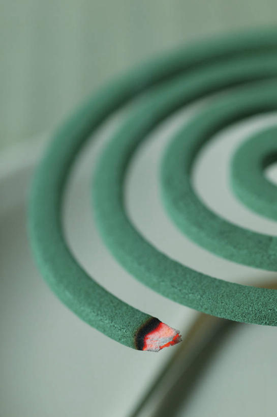 无人,竖图,俯视,室内,特写,白天,静物,朦胧,模糊,螺旋,蚊香,燃烧,一个,绿色,单个,盘香,螺旋状,彩图,高角度拍摄,螺旋形,螺旋形状,螺旋型,驱蚊物