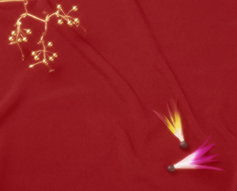 无人,横图,室内,特写,白天,正面,静物,阴影,红色背景,装饰,反射,影子,装饰品,装饰物,摄影,影棚,华丽,修饰,点缀,饰物,衬托,美观,雅致,雅观,彩图,影棚拍摄,拍摄