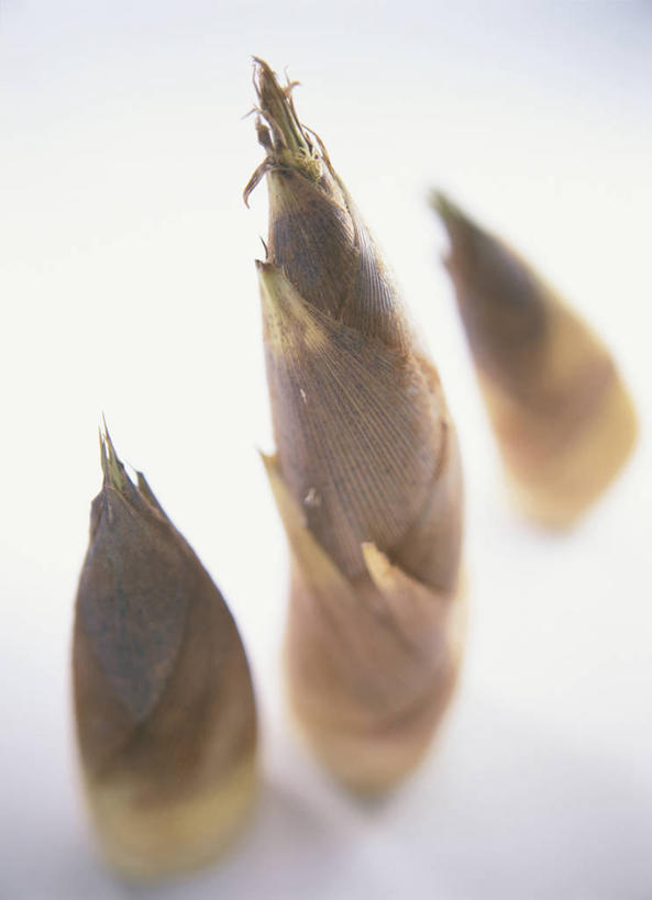 无人,竖图,俯视,室内,特写,白天,白色背景,蔬菜,阴影,朦胧,模糊,新鲜,反射,影子,竹笋,食品,笋,食物,三个,摄影,有机食品,绿色食品,影棚,彩图,高角度拍摄,影棚拍摄,拍摄