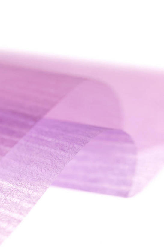 无人,竖图,室内,特写,白天,白色背景,正面,静物,透明,纸,紫色,打开,翻开,摄影,影棚,通透,掀开,彩图,影棚拍摄,拍摄