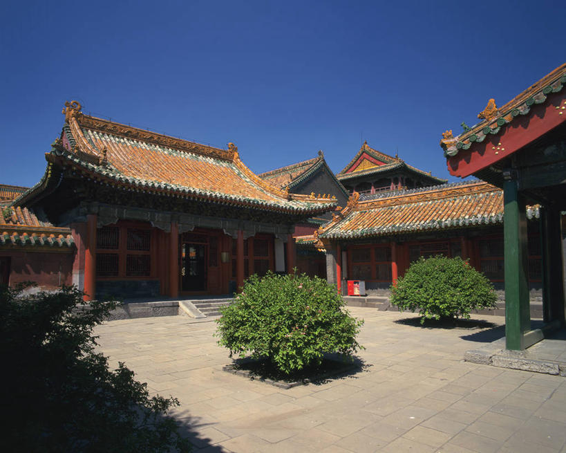 无人,家,故宫,宫殿,横图,室外,白天,正面,旅游,度假,名胜古迹,植物,标志建筑,地标,建筑,中国,亚洲,阴影,遗迹,光线,瓦片,影子,房屋,屋顶,屋子,顶棚,瓦,古迹,文物,娱乐,建设,古建筑,楼房,住宅,树,树木,蓝色,绿色,蓝天,天空,阳光,自然,天,享受,休闲,旅游胜地,放松,建造,生长,晴朗,成长,权利,古文明,东亚,屋瓦,辽宁,辽宁省,沈阳,万里无云,中华人民共和国,省会,沈阳市,辽,东北地区,晴空,晴空万里,彩图,房子,奉天行宫,沈河区,沈阳故宫,沈阳故宫博物院,盛京宫阙