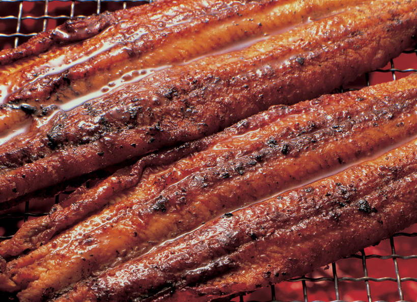 海鲜,鳗鱼,无人,横图,俯视,室内,特写,白天,烹饪,烧烤,热情,火,阴影,朦胧,模糊,反射,鱼,火焰,影子,肉,鱼肉,日本料理,料理,食品,烤架,烤肉,燃烧,水产,菜肴,美食,肉类,鱼类,海洋生物,食物,日式料理,日式,铁架,佳肴,水生动物,海产品,水生物,肉食,海底动物,照烧,彩图,高角度拍摄,照烧鳗鱼