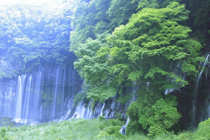 无人,横图,室外,白天,正面,旅游,度假,石头,美景,瀑布,树林,水,植物,长野县,日本,亚洲,阴影,飞溅,溅,光线,石子,液体,影子,景观,水滴,娱乐,水珠,树,树木,绿色,阳光,自然,享受,休闲,景色,放松,生长,成长,喷洒,自然风光,东亚,本州,本州岛,日本国,中部地方,长野,轻井泽,轻井泽町,白丝瀑布,跌水,石块,彩图,北佐久郡