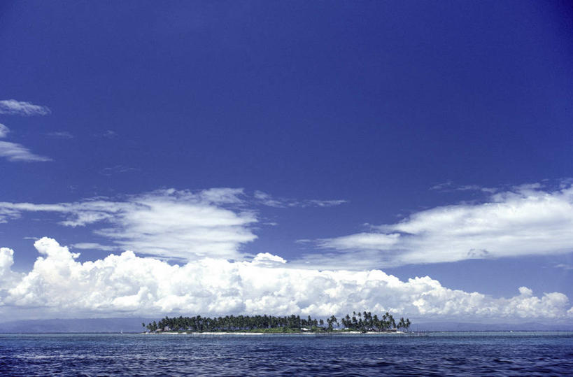 无人,横图,室外,白天,正面,旅游,度假,岛屿,海浪,海洋,美景,树林,植物,棕榈树,叶子,菲律宾,亚洲,阴影,光线,影子,岛,景观,浪花,云,云朵,绿叶,云彩,娱乐,树,树木,蓝色,绿色,白云,蓝天,天空,阳光,自然,海水,天,享受,休闲,嫩叶,景色,放松,东南亚,生长,晴朗,成长,自然风光,海景,棕榈叶,菲律宾共和国,宿务,宿务岛,米沙鄢,米沙鄢群岛,叶,叶片,大海,风浪,海,海水的波动,近岸浪,列岛,群岛,涌浪,诸岛,晴空,棕树,棕榈,彩图