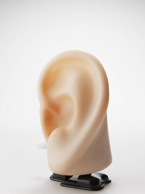 耳朵,内脏,动脉,静脉,无人,竖图,室内,特写,白天,正面,静物,阴影,灰色背景,反射,科学,医学,影子,人体,摄影,影棚,生物学,人体器官,器官,自然科学,博物学,生物科学,耳,耳部,彩图,影棚拍摄,拍摄