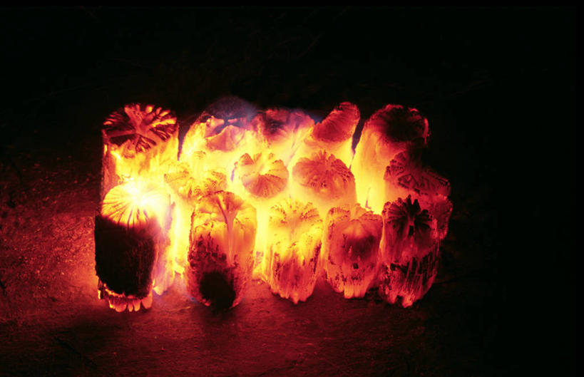 无人,横图,俯视,室外,特写,夜晚,热情,火,阴影,朦胧,模糊,反射,火焰,影子,燃烧,木炭,能源,燃料,能量,煤矿,矿业,化石燃料,柴炭,彩图,高角度拍摄