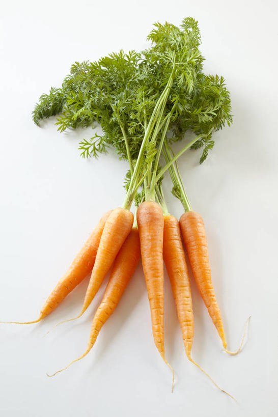 无人,竖图,俯视,室内,特写,白天,白色背景,萝卜,胡萝卜,蔬菜,叶子,许多,新鲜,食品,绿叶,很多,食物,橙色,嫩叶,摄影,有机食品,绿色食品,影棚,黄萝卜,番萝卜,叶,叶片,红萝卜,甘荀,彩图,高角度拍摄,影棚拍摄,拍摄,丁香萝卜,胡芦菔金,金笋