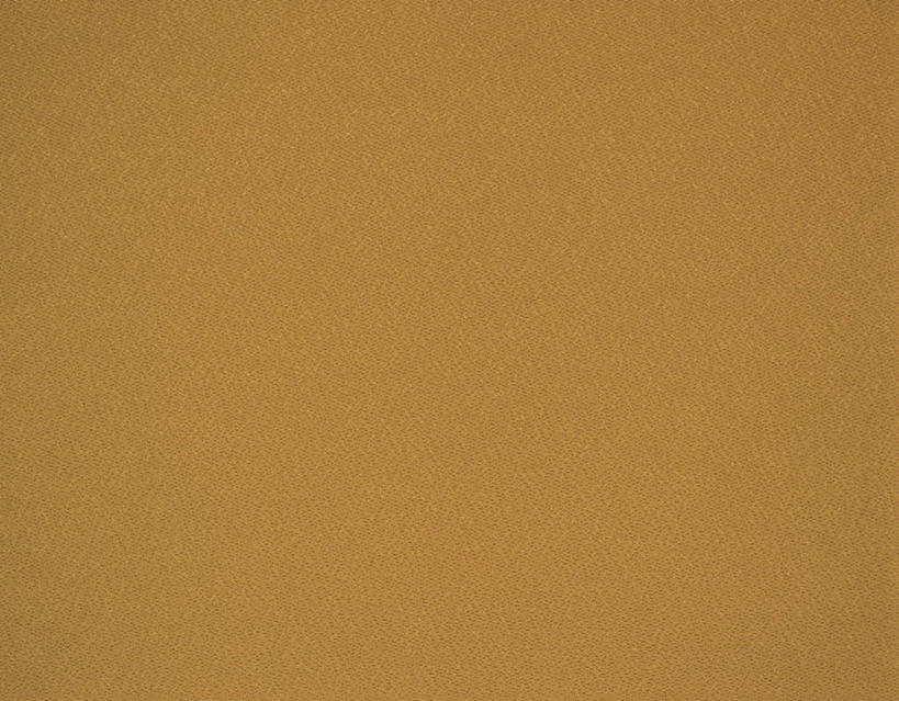 无人,横图,室内,特写,白天,正面,丰富,纹路,纹理,褐色,成熟,摄影,影棚,褐色背景,肌理,谦让,随和,彩图,影棚拍摄,拍摄