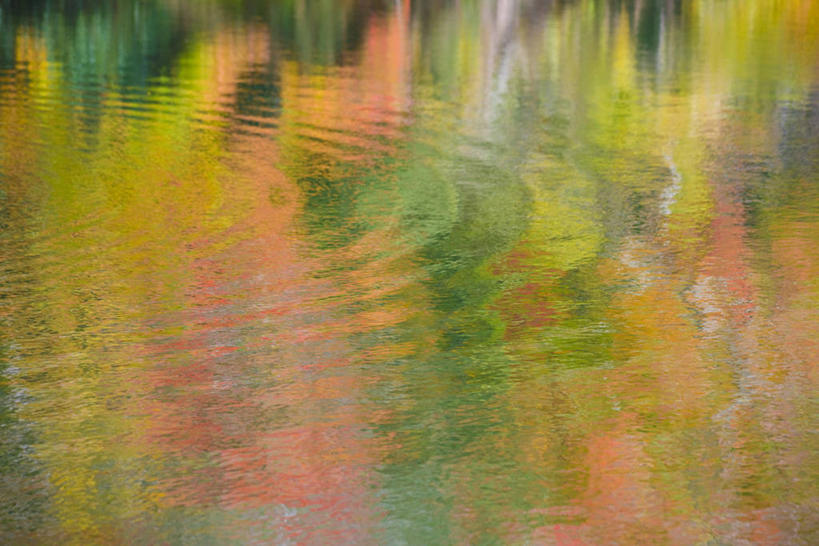 无人,横图,俯视,室外,白天,旅游,度假,美景,秋季,森林,树林,植物,叶子,日本,亚洲,波纹,朦胧,模糊,池塘,景观,水池,枯叶,落叶,涟漪,娱乐,树,树木,绿色,倒影,水纹,自然,波浪,享受,休闲,景色,放松,生长,成长,倒映,自然风光,东亚,本州,本州岛,日本国,近畿地方,近畿,滋贺,滋贺县,水晕,反照,叶,叶片,秋,秋天,彩图,高角度拍摄,高岛市