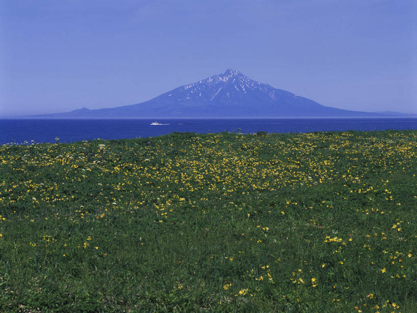 无人,横图,室外,白天,正面,旅游,度假,草地,草坪,岛屿,花海,花圃,美景,山,山脉,植物,叶子,北海道,日本,亚洲,阴影,盛开,光线,影子,岛,景观,山峰,山峦,花蕾,娱乐,草,花,花瓣,花朵,花卉,鲜花,黄色,蓝色,绿色,蓝天,天空,阳光,自然,花丛,花束,花田,群山,天,花苞,花蕊,享受,休闲,景色,放松,晴朗,自然风光,东亚,万里无云,日本国,北海道地方,北海道岛,列岛,群岛,诸岛,晴空,晴空万里,彩图,利尻岛