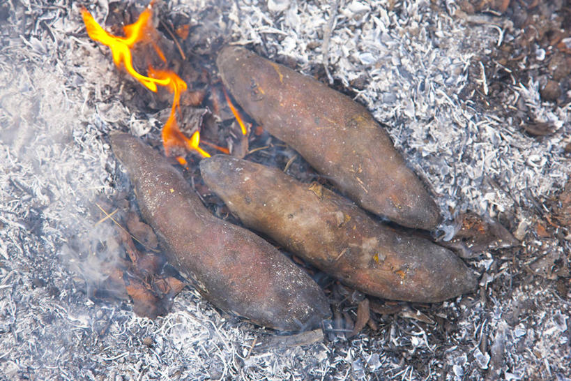 无人,横图,俯视,室外,特写,白天,热情,红薯,蔬菜,火,一堆,堆叠,堆积,朦胧,模糊,新鲜,火焰,木材,食品,燃烧,小吃,木柴,食物,三个,有机食品,绿色食品,木料,堆,篝火,山芋,甘薯,番薯,地瓜,彩图,高角度拍摄,烘山芋,烤白薯,烤地瓜,烤番薯,烤红薯,煨番薯,营火