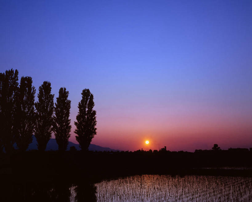 无人,农田,横图,室外,白天,正面,旅游,度假,农业,庄稼,农作物,美景,日落,树林,植物,北海道,日本,亚洲,稻田,景观,晚霞,霞光,落日,背光,娱乐,树,树木,绿色,自然,黄昏,享受,休闲,景色,彩霞,放松,生长,成长,杨树,自然风光,逆光,东亚,银白杨,日本国,北海道地方,北海道岛,夕照,薄暮,夕阳,彩图,耕地,庄稼田,傍晚,斜阳