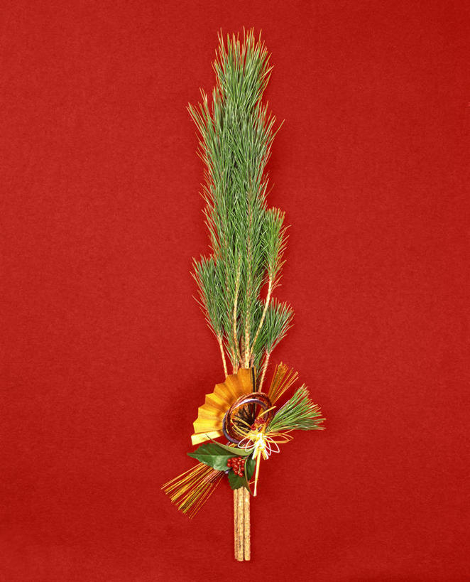 无人,竖图,室内,特写,白天,正面,阴影,红色背景,装饰,反射,影子,一个,摄影,影棚,单个,华丽,修饰,点缀,门松,衬托,美观,雅致,雅观,长寿,彩图,影棚拍摄,拍摄