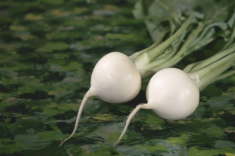 无人,横图,俯视,室内,特写,白天,蔬菜,阴影,朦胧,模糊,新鲜,反射,影子,食品,芜菁,食物,两个,白色,有机食品,绿色食品,蔓菁,盘菜,大头芥,彩图,高角度拍摄