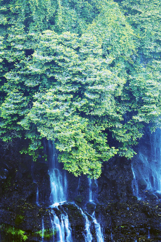 无人,竖图,室外,白天,正面,旅游,度假,美景,瀑布,森林,山,山脉,树林,水,植物,长野县,日本,亚洲,阴影,飞溅,溅,光线,液体,影子,景观,山峰,水滴,山峦,娱乐,水珠,树,树木,绿色,阳光,自然,群山,享受,休闲,景色,放松,生长,成长,喷洒,自然风光,东亚,本州,本州岛,日本国,中部地方,长野,轻井泽,轻井泽町,白丝瀑布,跌水,彩图,北佐久郡