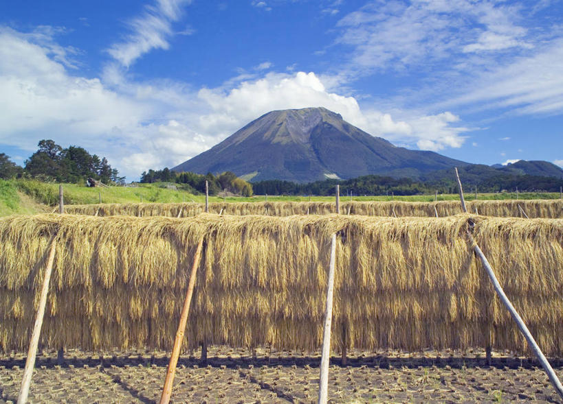 无人,横图,室外,白天,正面,旅游,度假,草地,草坪,美景,山,山脉,树林,植物,日本,亚洲,一排,许多,阴影,整齐,并列,并排,光线,影子,景观,山峰,云,云朵,干草,山峦,很多,云彩,娱乐,草,树,树木,排列,蓝色,绿色,白云,蓝天,天空,阳光,自然,草垛,群山,天,享受,休闲,景色,放松,生长,晴朗,成长,队列,自然风光,平行,东亚,本州,本州岛,日本国,中国地方,鸟取,鸟取县,干草垛,晴空,彩图,西伯郡,伯耆町