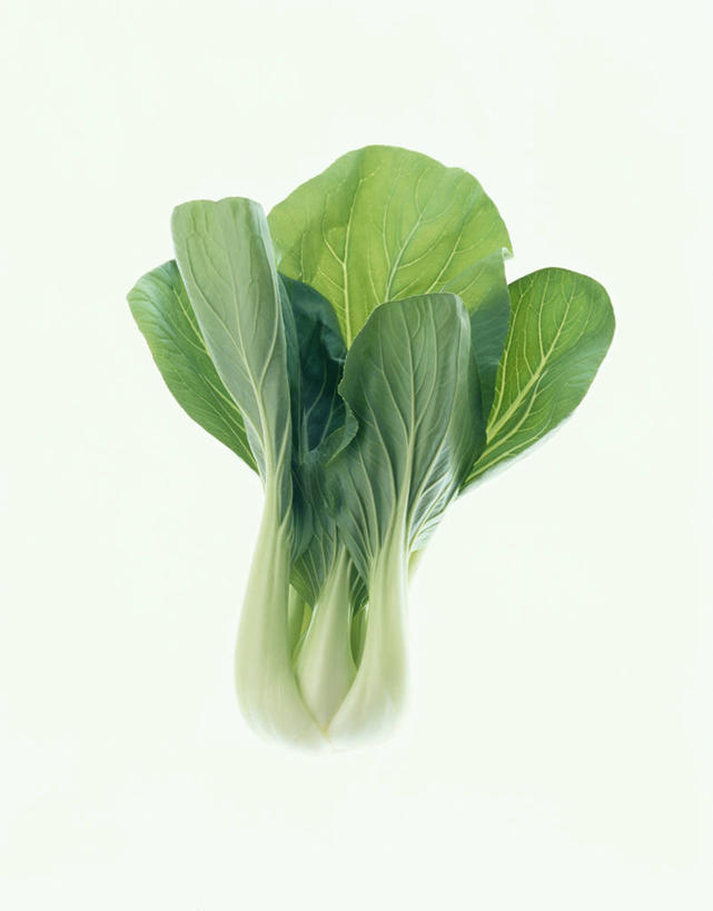 无人,竖图,室内,特写,白天,白色背景,正面,蔬菜,新鲜,青菜,食品,食物,一个,摄影,有机食品,绿色食品,影棚,单个,小白菜,不结球白菜,彩图,影棚拍摄,拍摄