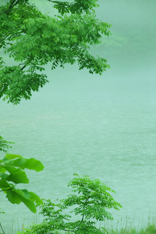 无人,竖图,室外,白天,正面,旅游,度假,日出,湖,湖泊,美景,水,太阳,植物,雾,叶子,日本,亚洲,朦胧,模糊,湖面,景观,水流,水面,绿叶,朝霞,晨曦,黎明,娱乐,树,树木,绿色,阳光,自然,湖水,享受,休闲,嫩叶,景色,放松,生长,成长,迷雾,自然风光,东亚,本州,本州岛,日本国,东北地方,山形,山形县,叶,叶片,朝阳,大雾,彩图,卯时,破晓,日始,东田川郡,庄内町