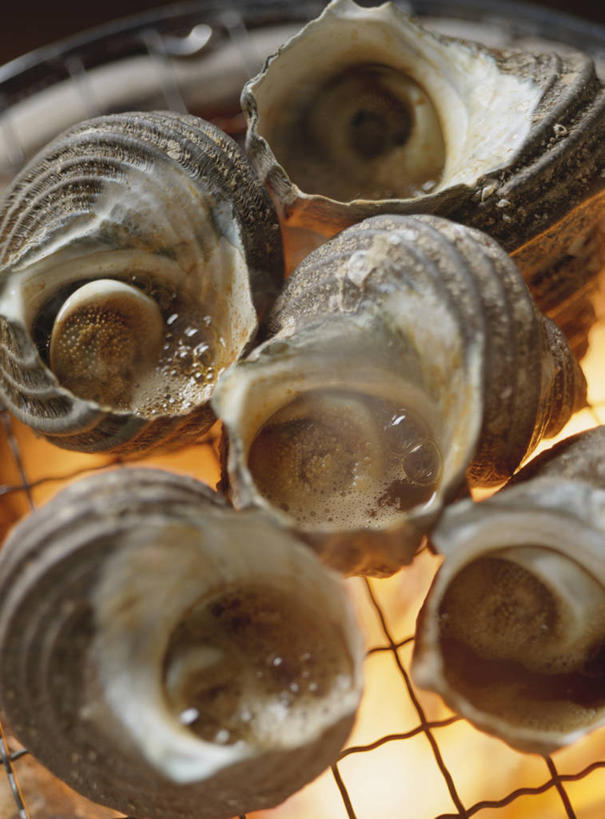 海鲜,无人,竖图,俯视,室内,特写,白天,烧烤,热情,火,阴影,朦胧,模糊,反射,火焰,影子,烤架,烤肉,燃烧,水产,海洋生物,铁架,水生动物,海产品,水生物,螺蛳,海底动物,田螺,蜗篱,师螺,蜗蠃,方田螺,彩图,高角度拍摄