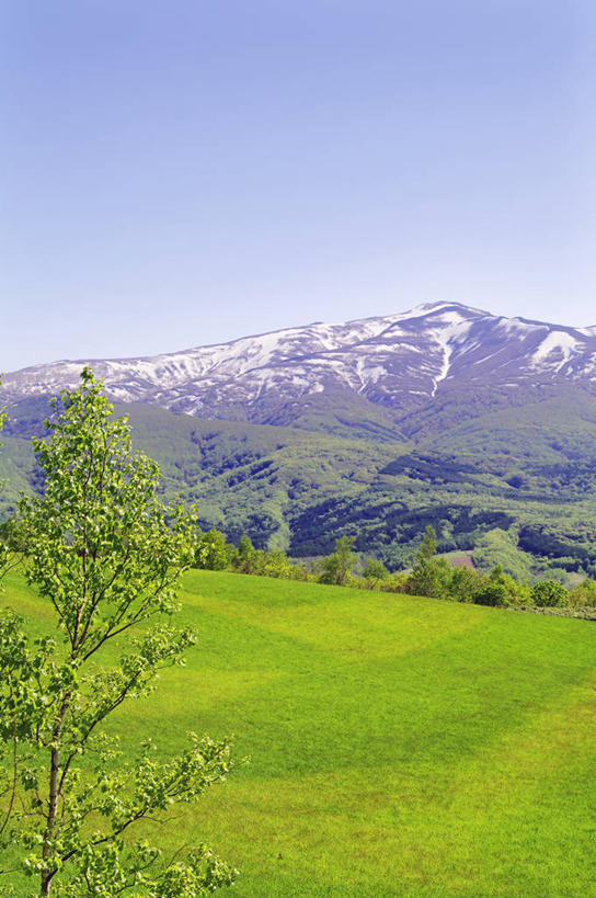 无人,竖图,室外,白天,正面,旅游,度假,草地,草坪,美景,山,树林,雪,雪山,植物,大雪,北海道,日本,亚洲,阴影,光线,影子,冰,积雪,景观,山峰,雪景,冬季,冬天,山峦,娱乐,草,树,树木,蓝色,绿色,蓝天,天空,阳光,自然,天,享受,休闲,景色,放松,寒冷,生长,晴朗,成长,冰冷,自然风光,东亚,万里无云,日本国,北海道地方,北海道岛,严寒,冰凉,酷寒,凛冽,凛凛,极冷,晴空,晴空万里,彩图,后志综合振兴局,振兴局,积丹郡