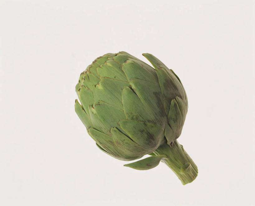 无人,横图,室内,特写,白天,白色背景,正面,蔬菜,新鲜,朝鲜蓟,食品,食物,一个,绿色,洋蓟,摄影,有机食品,绿色食品,影棚,单个,彩图,影棚拍摄,拍摄,菜蓟,法国百合,球洋蓟,蔬菜之皇,洋百合