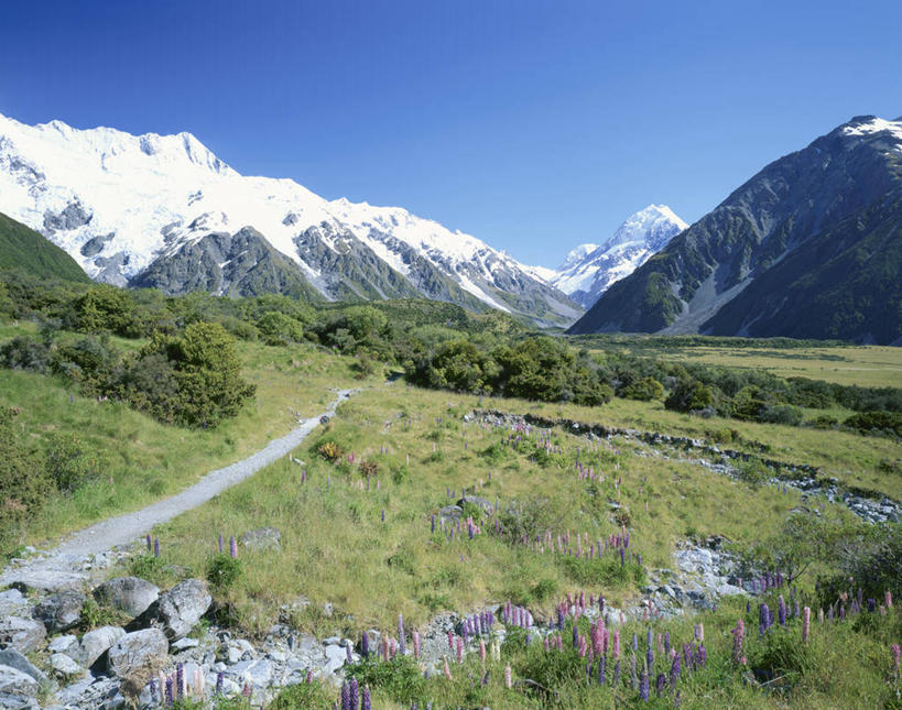 无人,横图,室外,白天,正面,旅游,度假,草地,草坪,美景,山,树林,雪,雪山,植物,大雪,新西兰,阴影,光线,影子,冰,积雪,景观,山峰,雪景,冬季,冬天,山峦,娱乐,草,树,树木,蓝色,绿色,蓝天,天空,阳光,自然,天,享受,休闲,景色,放松,寒冷,生长,晴朗,成长,冰冷,自然风光,大洋洲,万里无云,严寒,库克山,南阿尔卑斯山脉,纽西兰,冰凉,酷寒,凛冽,凛凛,极冷,长白云之乡,新西兰南岛,晴空,晴空万里,彩图,南阿尔卑斯山