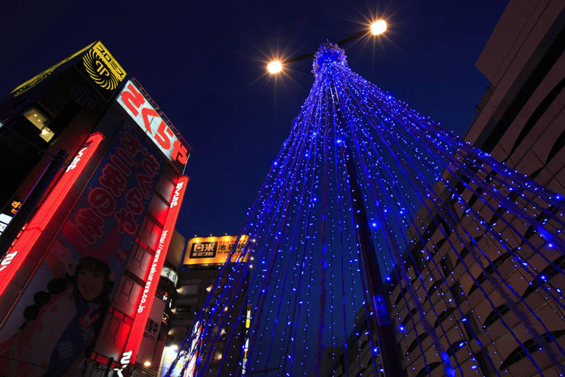 无人,高楼大厦,横图,室外,夜晚,仰视,度假,美景,植物,城市风光,城市,大厦,建筑,摩天大楼,夜景,照明,东京,日本,圣诞节,亚洲,阴影,节日,庆祝,光线,日文,标志,彩灯,文字,影子,字符,景观,灯光,圣诞树,文化,娱乐,标识,灯,树,树木,绿色,自然,灯具,庆典,享受,休闲,景色,放松,花灯,生长,成长,纪念,照亮,照明设备,圣诞灯,东亚,本州,关东地方,本州岛,日本国,东京都,日语,池袋,丰岛区,彩图,低角度拍摄,大楼,高层建筑,高楼,摩天楼,池袋站