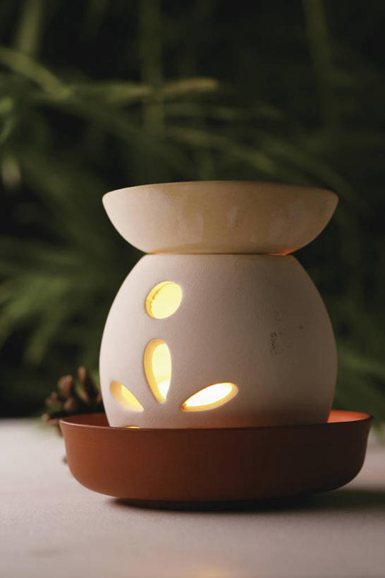 无人,竖图,室内,特写,白天,正面,植物,朦胧,模糊,盆栽,盆景,一个,绿色,自然,生长,单个,成长,熏香炉,彩图,精油炉,香精炉,香熏炉,香薰炉