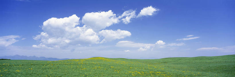 无人,横图,室外,白天,正面,旅游,度假,草地,草坪,花海,花圃,美景,植物,叶子,北海道,日本,亚洲,阴影,盛开,光线,影子,景观,云,云朵,花蕾,云彩,娱乐,草,花,花瓣,花朵,花卉,鲜花,黄色,蓝色,绿色,白云,蓝天,天空,阳光,自然,花丛,花束,花田,天,花苞,花蕊,享受,休闲,景色,放松,晴朗,自然风光,东亚,日本国,北海道地方,北海道岛,根室支厅,晴空,彩图,标津郡,道东,中标津町