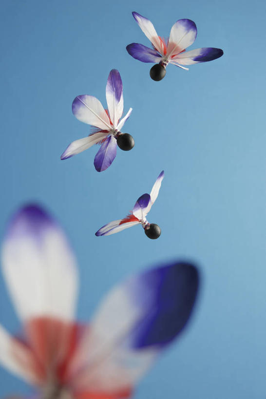 无人,竖图,室内,特写,白天,正面,锻炼,运动,静物,阴影,蓝色背景,朦胧,模糊,反射,板羽球,影子,运动器械,蓝色,白色,四个,健身器械,摄影,影棚,毽子,健身器材,羽子板,毽球,花毽,鸡毛毽,打手毽,毽子板球,体育,彩图,影棚拍摄,健身,拍摄,运动器材