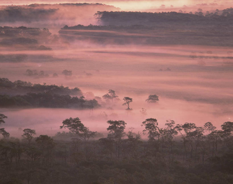 无人,横图,俯视,室外,白天,旅游,度假,日出,美景,森林,树林,太阳,植物,雾,北海道,日本,亚洲,朦胧,模糊,景观,朝霞,晨曦,黎明,娱乐,树,树木,绿色,阳光,自然,享受,休闲,景色,放松,生长,成长,迷雾,自然风光,东亚,日本国,北海道地方,北海道岛,钏路湿原,朝阳,大雾,彩图,高角度拍摄,卯时,破晓,日始,振兴局,钏路郡,钏路町,钏路综合振兴局,道东