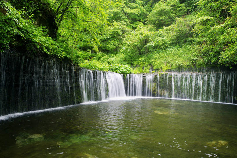 无人,横图,室外,白天,正面,旅游,度假,美景,瀑布,森林,树林,水,植物,长野县,日本,亚洲,阴影,波纹,飞溅,溅,光线,液体,影子,池塘,景观,水池,水滴,涟漪,娱乐,水珠,树,树木,绿色,倒影,水纹,阳光,自然,波浪,享受,休闲,景色,放松,生长,成长,倒映,喷洒,自然风光,东亚,本州,本州岛,日本国,中部地方,水晕,长野,轻井泽,轻井泽町,白丝瀑布,反照,跌水,彩图,北佐久郡