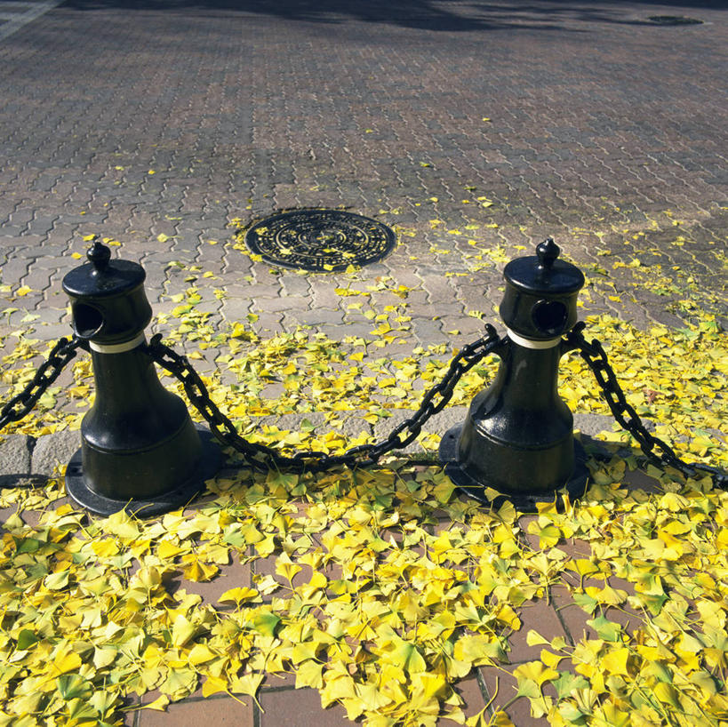 无人,栏杆,横图,俯视,室外,特写,白天,度假,美景,城市风光,城市,叶子,一堆,许多,阴影,堆叠,堆积,光线,盖子,影子,景观,井盖,围栏,枯叶,落叶,很多,娱乐,护栏,阳光,享受,休闲,景色,放松,堆,铁环,锁链,链条,束缚,限制,窨井盖,约束,叶,叶片,彩图,高角度拍摄