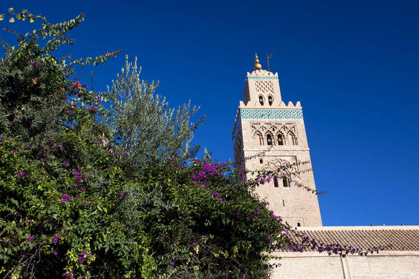 无人,横图,室外,白天,仰视,旅游,度假,植物,标志建筑,地标,建筑,非洲,摩洛哥,阴影,节日,光线,影子,文化,娱乐,建设,树,树木,蓝色,绿色,蓝天,天空,阳光,自然,天,祈祷,享受,休闲,健康,旅游胜地,放松,许愿,宗教,信仰,生长,晴朗,成长,纪念,祈求,伊斯兰教,清真寺,万里无云,阿非利加洲,摩洛哥王国,马拉喀什,库图比亚清真寺,库杜比亚清真寺,平安,晴空,晴空万里,彩图,低角度拍摄