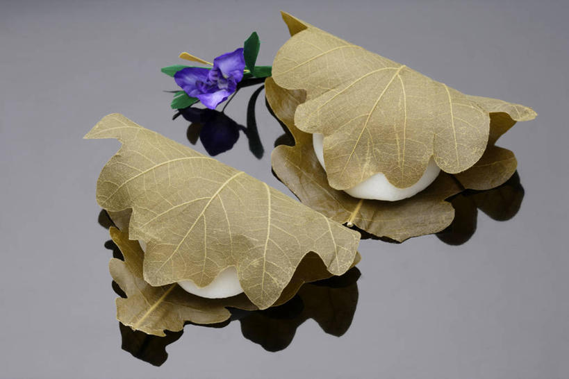 点心,无人,横图,俯视,室内,特写,白天,植物,叶子,阴影,灰色背景,盛开,反射,纹理,影子,料理,食品,年糕,甜点,绿叶,花蕾,美食,花,花瓣,花朵,鲜花,食物,糕点,两个,一朵,绿色,紫色,甜食,花苞,花蕊,中式,嫩叶,摄影,影棚,肌理,叶,叶片,叶脉,彩图,高角度拍摄,影棚拍摄,拍摄,年年糕