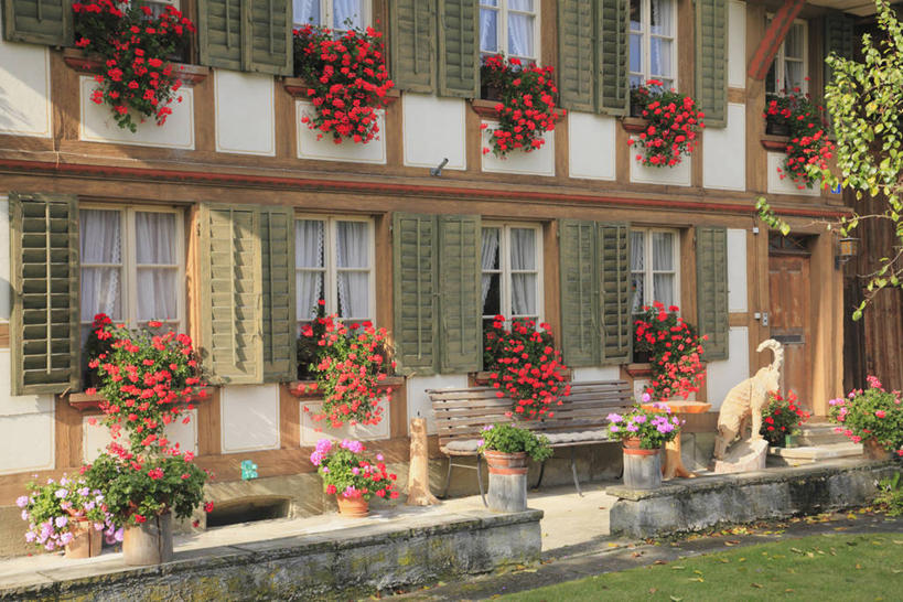 无人,家,横图,室外,白天,正面,度假,美景,植物,窗户,窗帘,城市风光,城市,瑞士,欧洲,阴影,装饰,盛开,光线,盆栽,影子,房屋,屋子,景观,公寓,盆景,花蕾,娱乐,洋房,楼房,玻璃窗,住宅,花,花瓣,花朵,鲜花,绿色,阳光,自然,帘子,花苞,花蕊,享受,休闲,遮阳,景色,放松,生长,成长,华丽,修饰,点缀,中欧,首府,巴塞尔,衬托,美观,雅致,雅观,瑞士联邦,巴塞尔城市州,彩图,房子